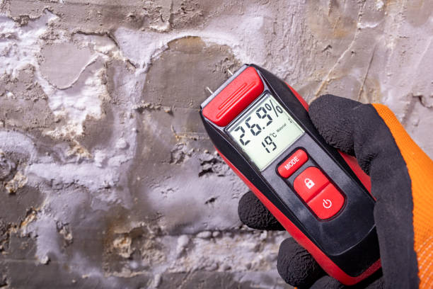 Wakefield, MI Mold Removal Company